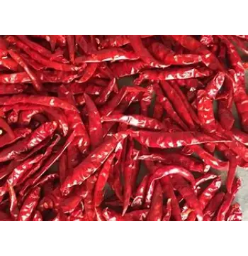 Fresh Dry Red Chilli Dry Red Chilli13-8939730-74986.webp